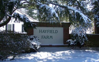 September Hayfield News